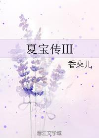 夏宝传3TXT全本