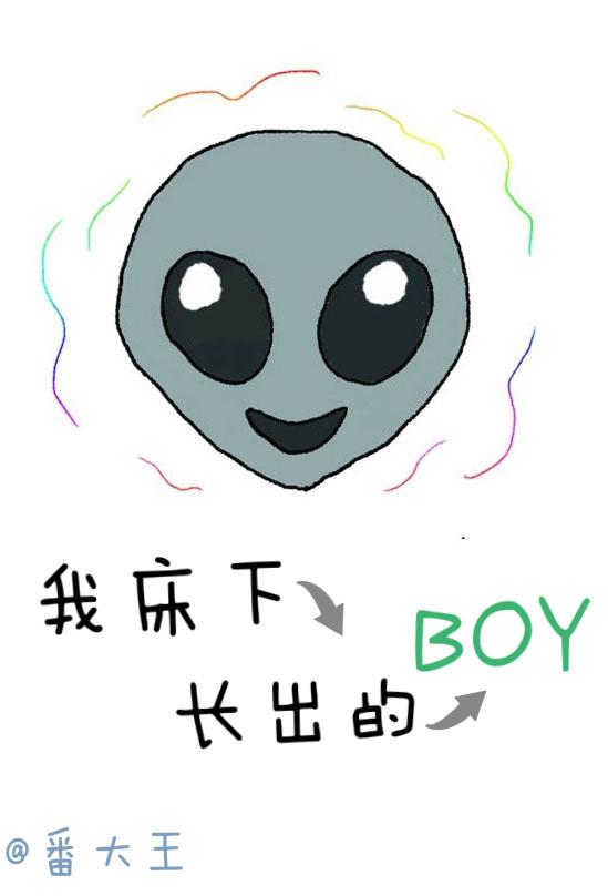 我床下长出的BOY讲的什么