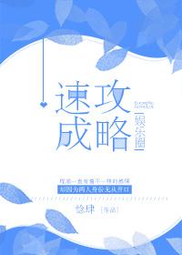 速成攻略[娱乐圈