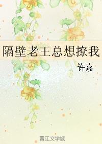 隔壁老王这个梗