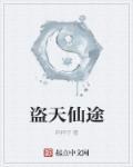 盗天仙途为什么断更