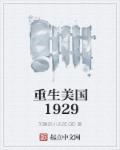 重生美国1929年的华人