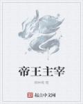 全职法师主宰帝王