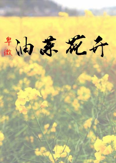 油菜花开歌曲原唱