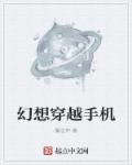 穿越幻想hi游戏乐文