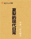 夏梨的现代日常生活