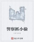 警察抓小偷游戏叫什么名字