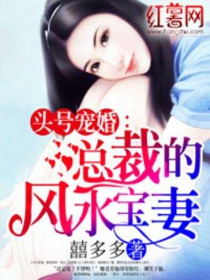 总裁的风水宝妻严以枭