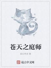 苍天之师后续