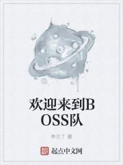 欢迎来到BOSS队 阅读