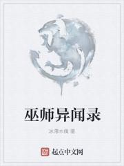 巫师异乡异客攻略