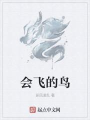 会飞的鸟儿有什么特点