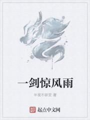 一剑惊鸿什么意思