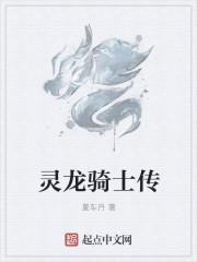 龙骑士传手机版