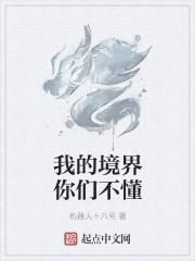 我的境界你们不懂是什么歌