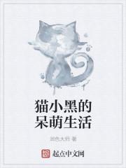 酷猫小黑的生活