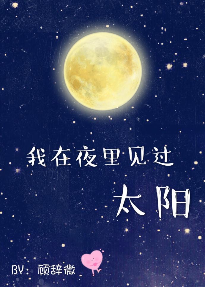 我在夜里见过太阳歌词