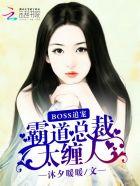 boss追宠