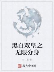 黑白无双完结