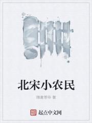 北宋小农民tst