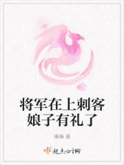 将军在上续