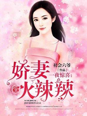 一夜惊喜闪婚老公太撩人