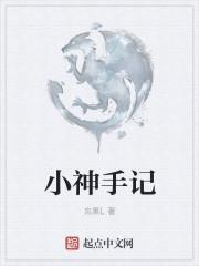 小神手代挂是什么公司开发的