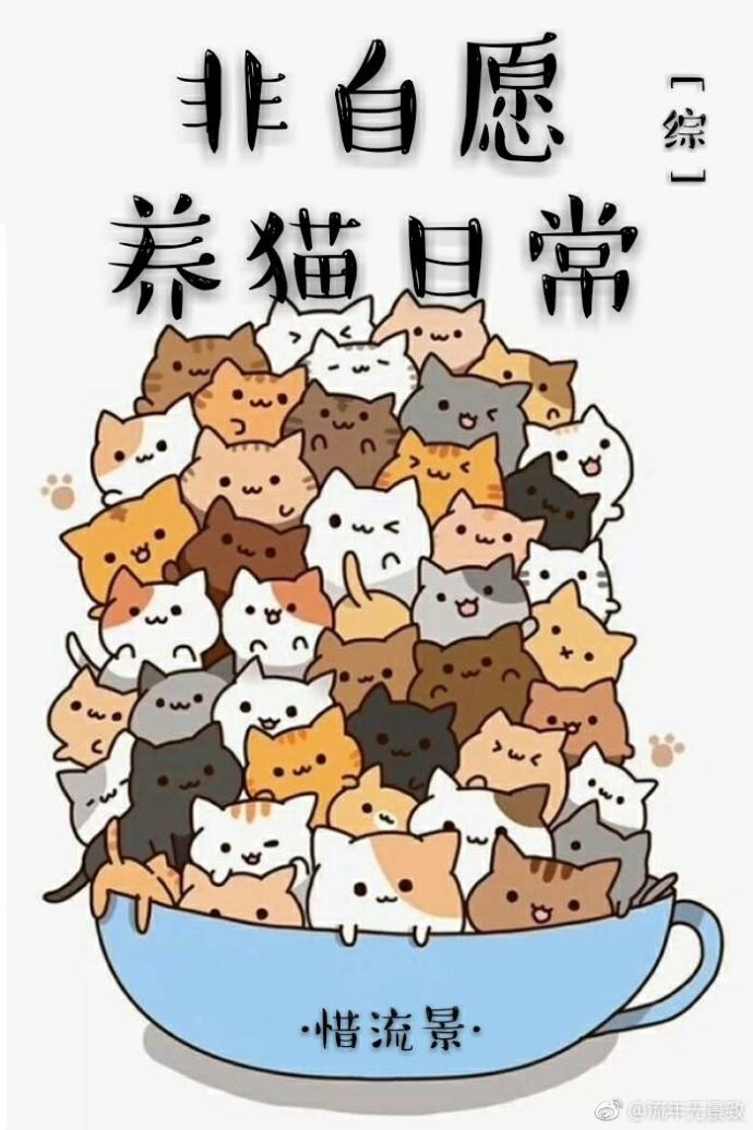 综我英养猫日常