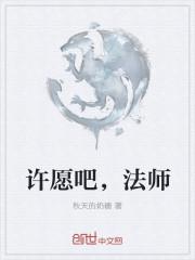 穿越全职法师许愿