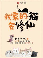 我家的猫会修仙完本精校