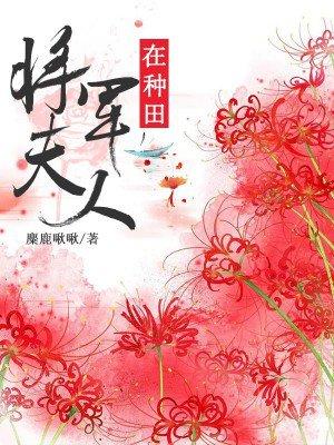 将军夫人在种田讲什么