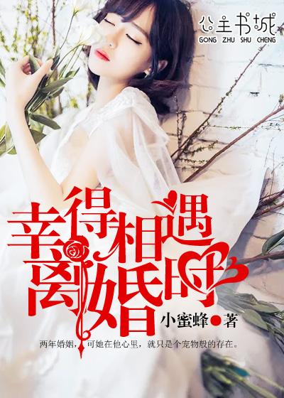 幸得相遇离婚时小蜜蜂