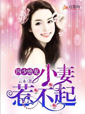 四少绝宠小妻惹不起作文