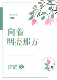 向着明亮那方作文400