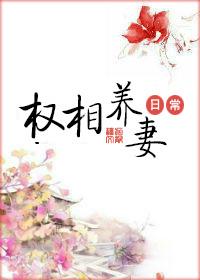 权相养妻日常九斛珠讲的什么