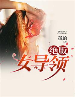 绝版女领导无删减版