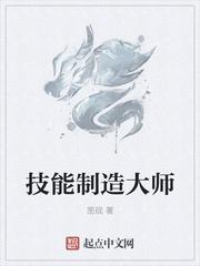 技能大师 职业