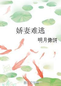 娇妻难逃 明月是饼