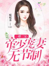 一婚二宝帝少宠妻无节制[精品