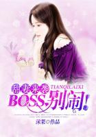 boss别闹完整版TXT