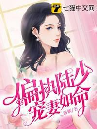 偏执陆少宠妻如命无删减版