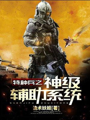 特种兵之神级辅助系统林天