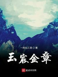 玉宸金章精校版