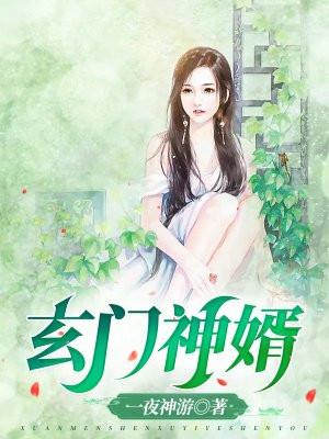 上门神婿