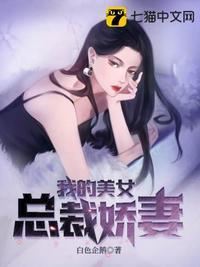 我的美女总裁娇妻苏离叶倾城