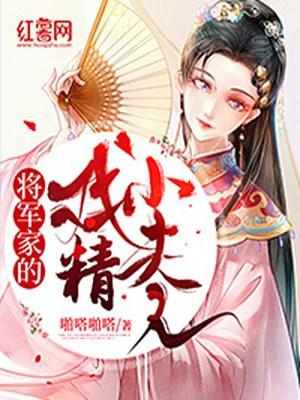 将军小夫人电视剧