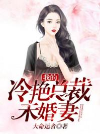 我的冷艳总裁未婚妻叶辰