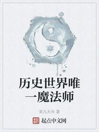 历吏世界唯一魔法师