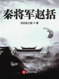 秦将军赵括txt