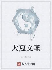 大夏文圣无错字